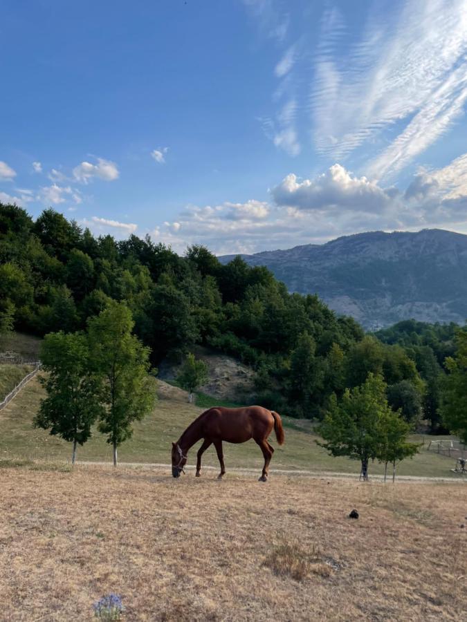 Etno Village Vojnik Savnik Экстерьер фото