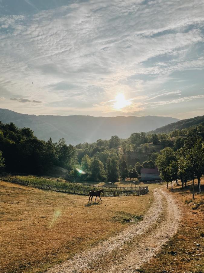 Etno Village Vojnik Savnik Экстерьер фото