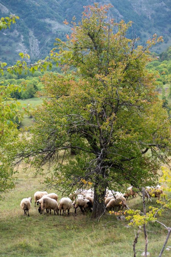 Etno Village Vojnik Savnik Экстерьер фото