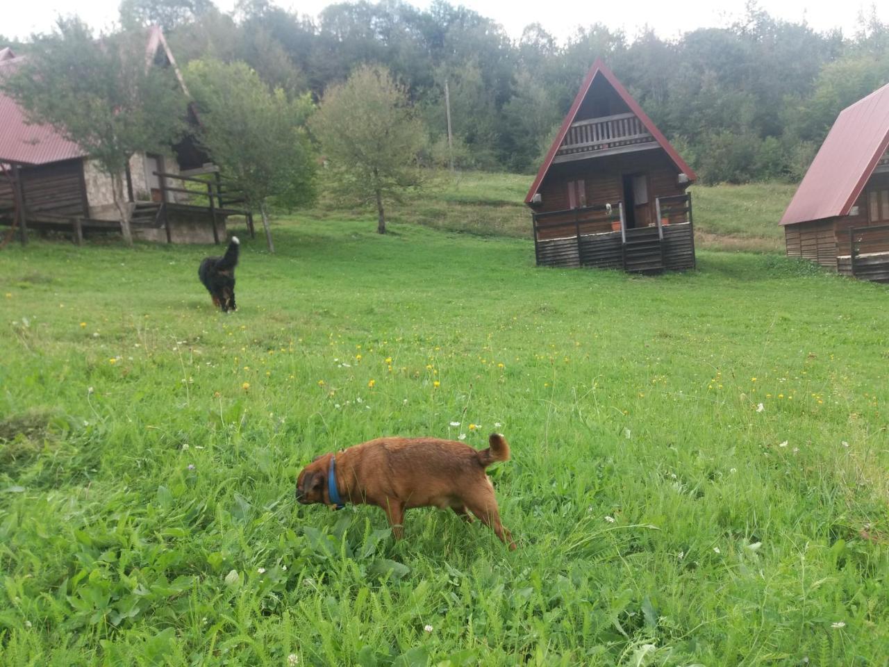 Etno Village Vojnik Savnik Экстерьер фото