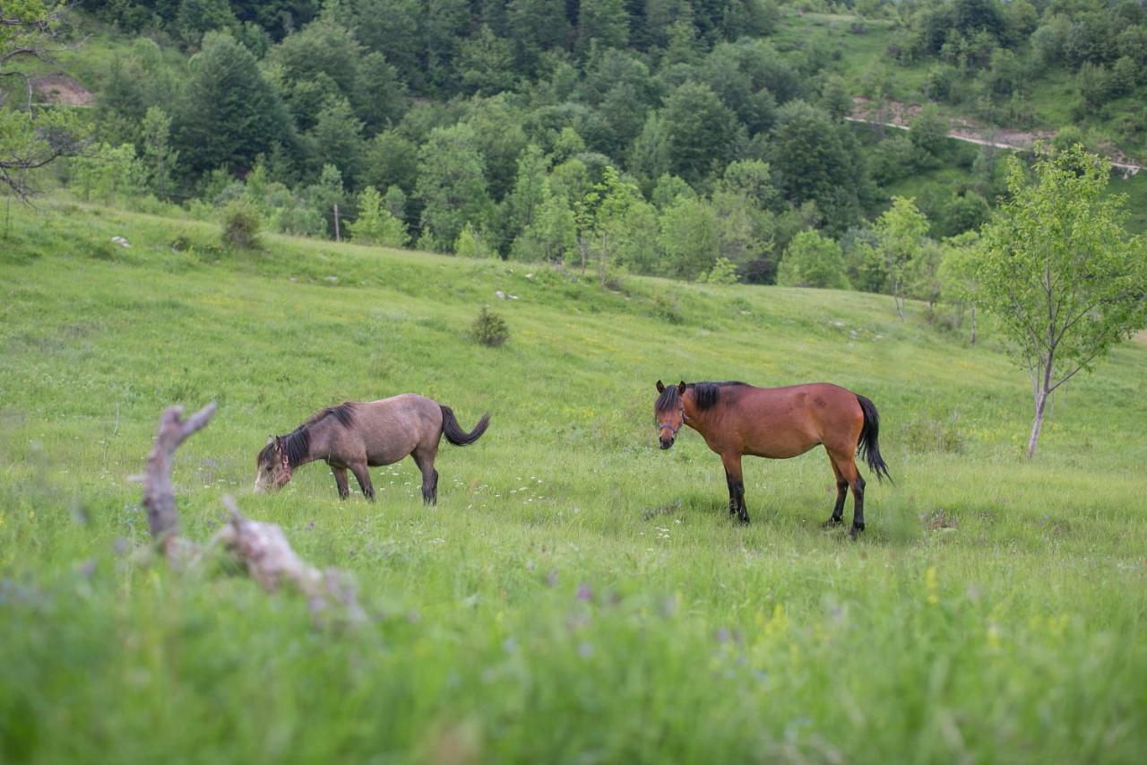 Etno Village Vojnik Savnik Экстерьер фото