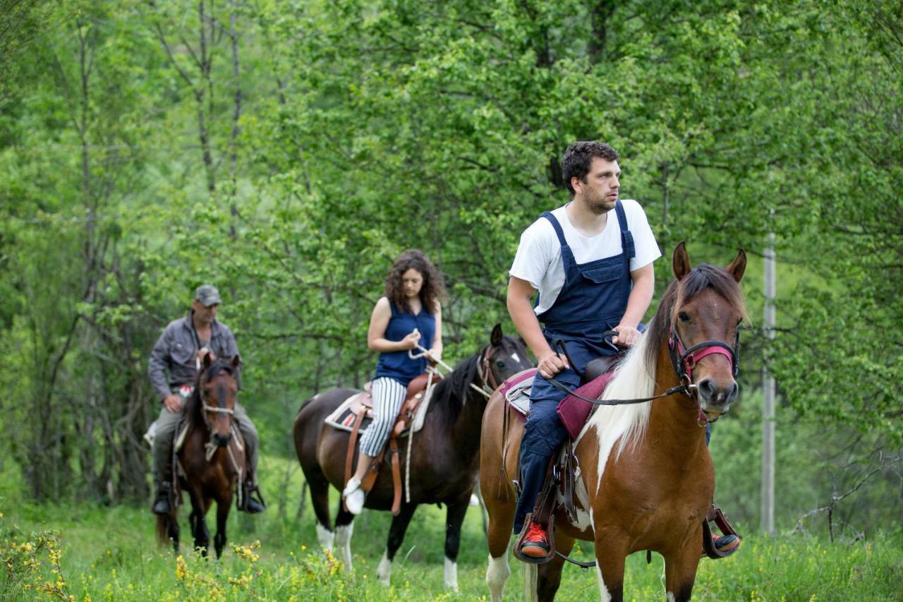 Etno Village Vojnik Savnik Экстерьер фото