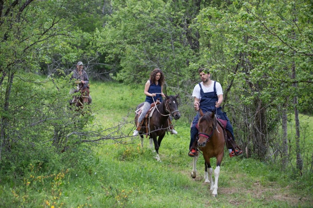 Etno Village Vojnik Savnik Экстерьер фото