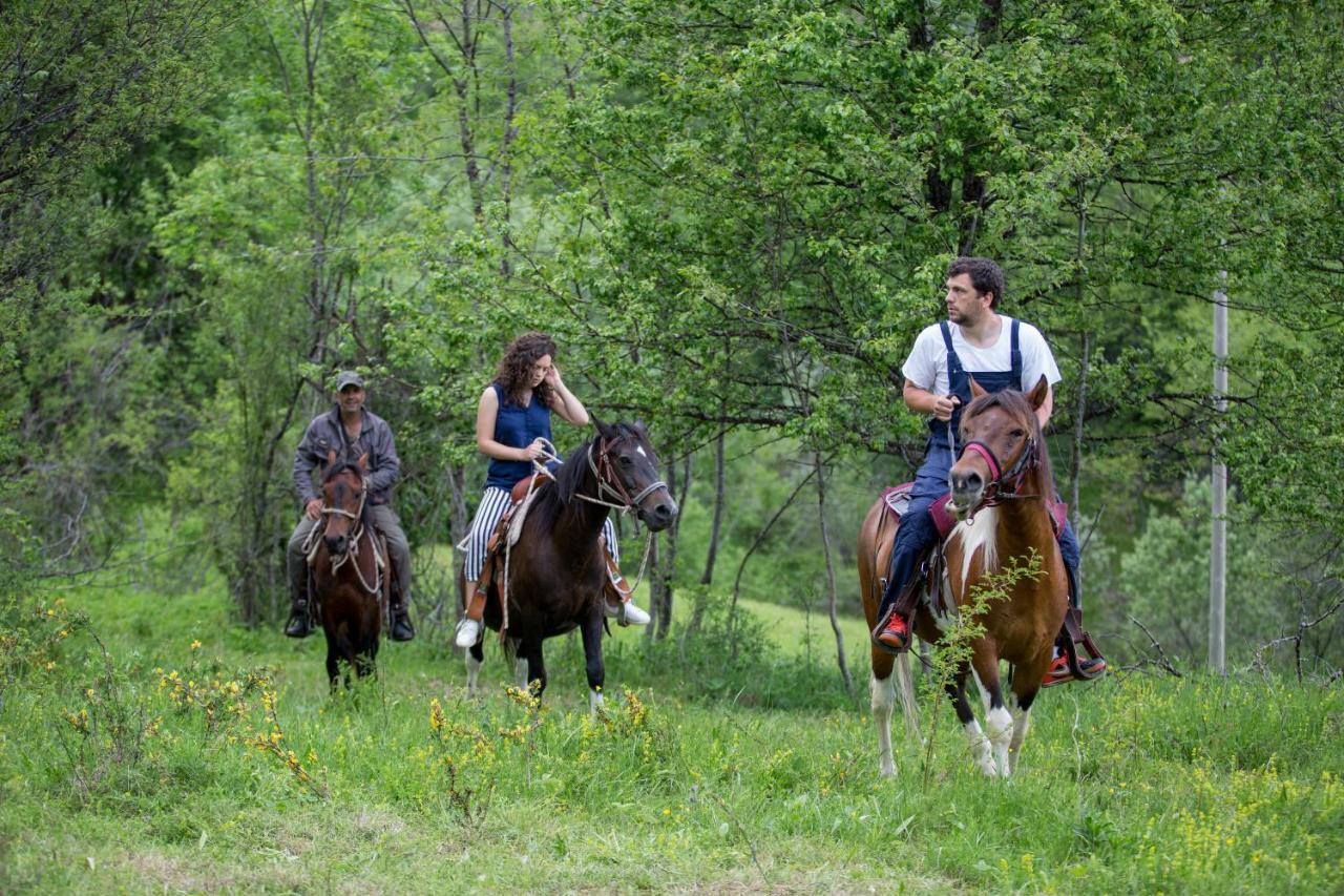 Etno Village Vojnik Savnik Экстерьер фото