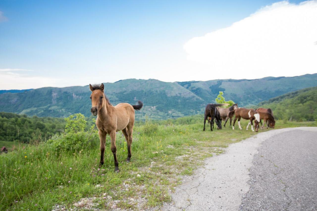 Etno Village Vojnik Savnik Экстерьер фото